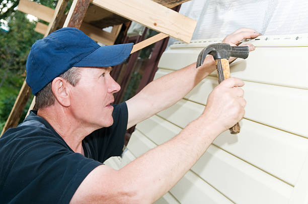 Affordable Siding Repair and Maintenance Services in Rhinelander, WI