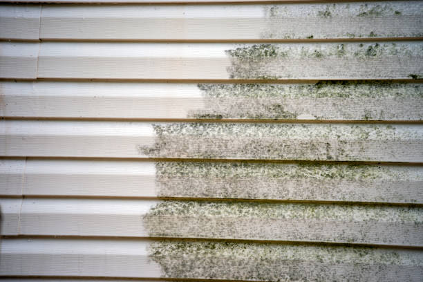 Best Siding Removal and Disposal  in Rhinelander, WI